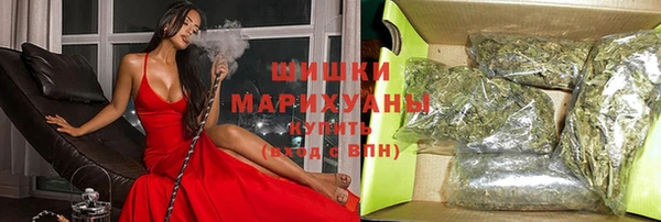 амф Аркадак